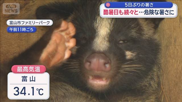 メイン記事画像