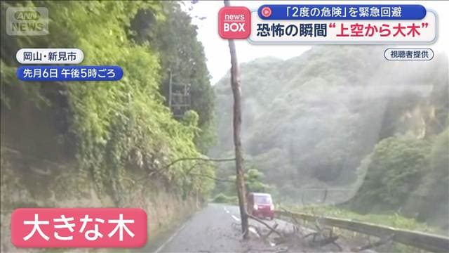 メイン記事画像