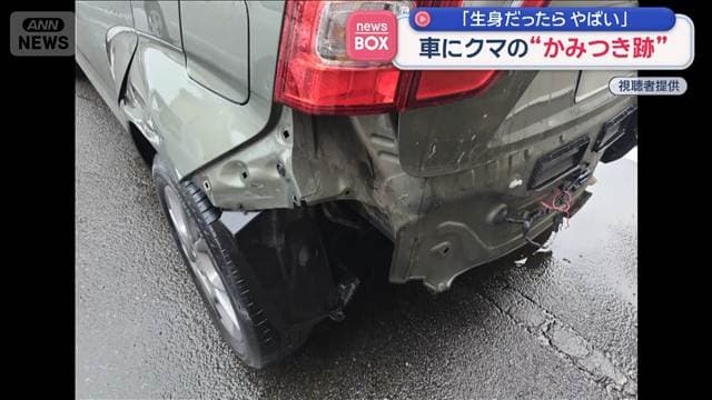 メイン記事画像