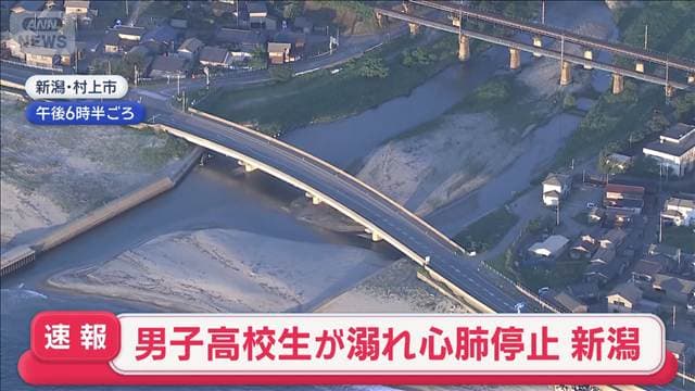 メイン記事画像