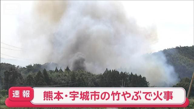 メイン記事画像
