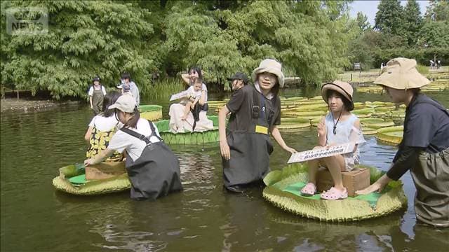 メイン記事画像