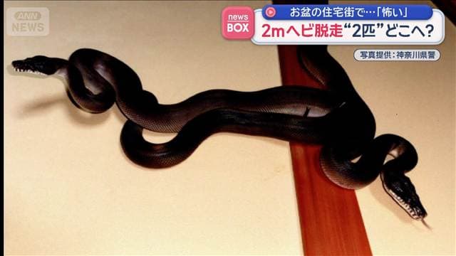 メイン記事画像