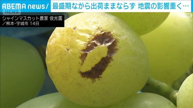 メイン記事画像