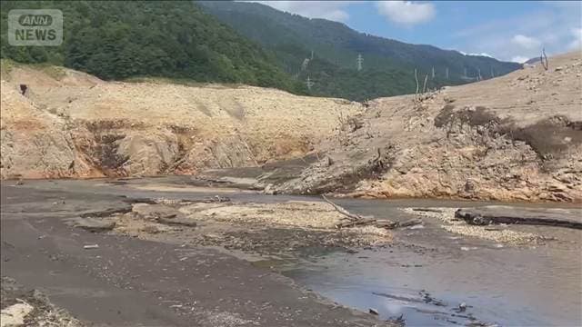 メイン記事画像