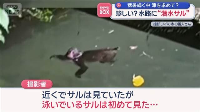 メイン記事画像