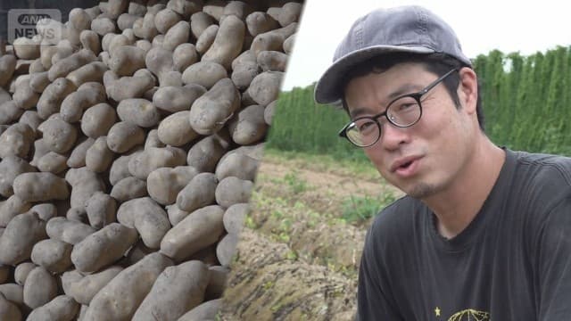 メイン記事画像