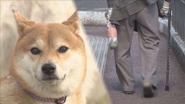 メイン記事画像
