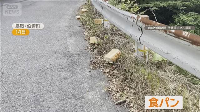 メイン記事画像