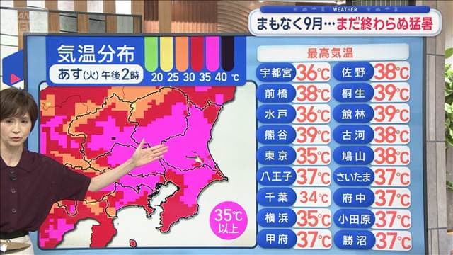 メイン記事画像