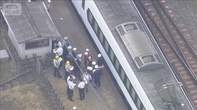 メイン記事画像