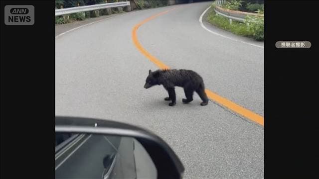 メイン記事画像