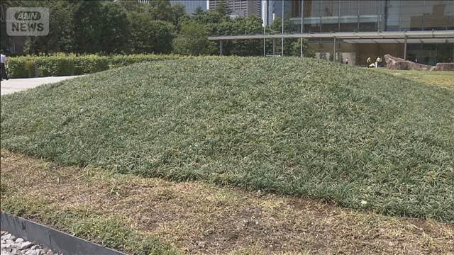 メイン記事画像
