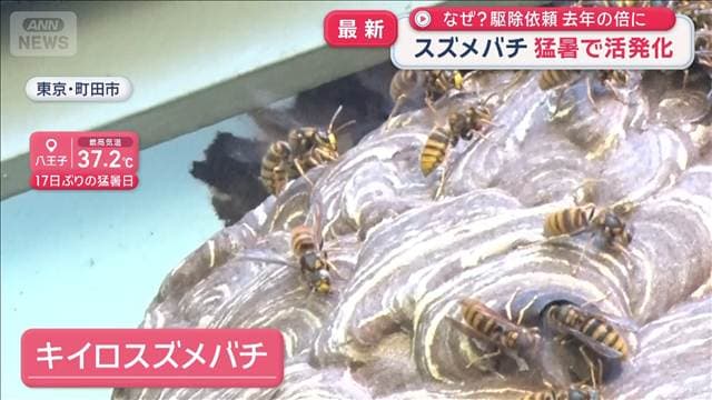 メイン記事画像