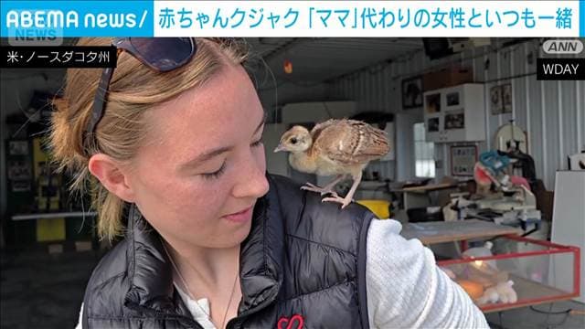 メイン記事画像