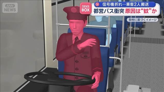 メイン記事画像