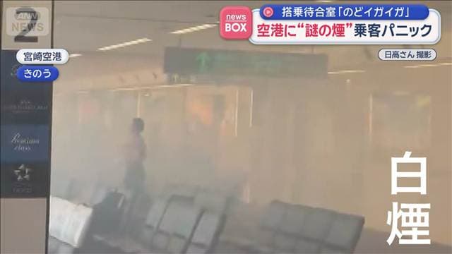 メイン記事画像