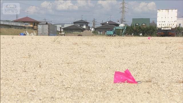 メイン記事画像