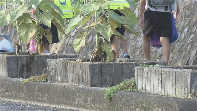 メイン記事画像