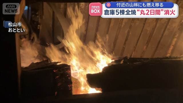 メイン記事画像