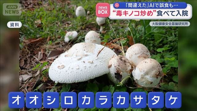 メイン記事画像