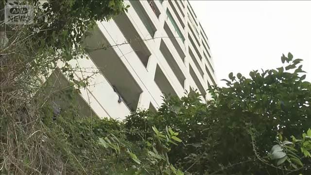 メイン記事画像