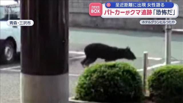 メイン記事画像