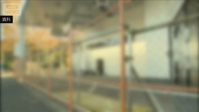 メイン記事画像