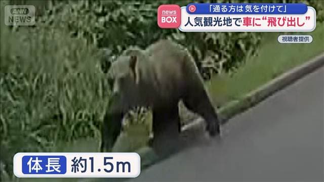 メイン記事画像