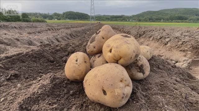 メイン記事画像