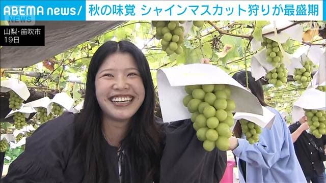 メイン記事画像