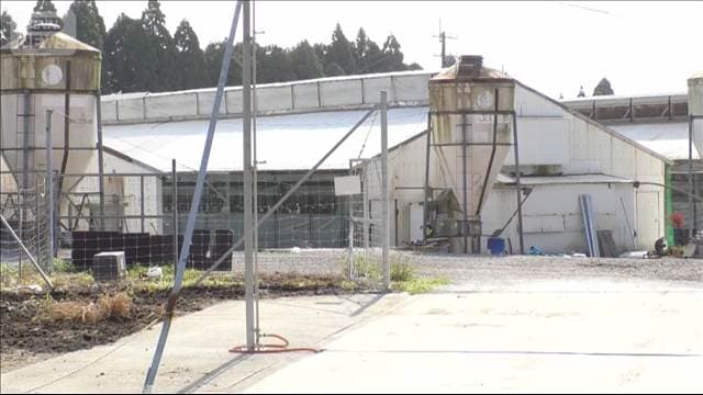 メイン記事画像