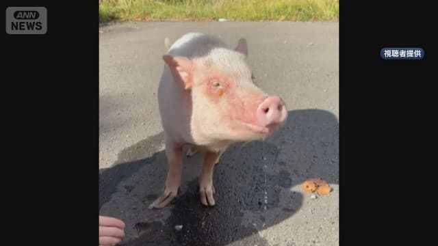 メイン記事画像