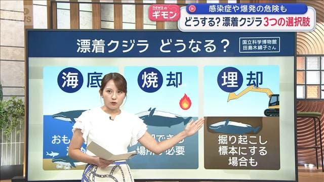 メイン記事画像