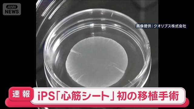 メイン記事画像
