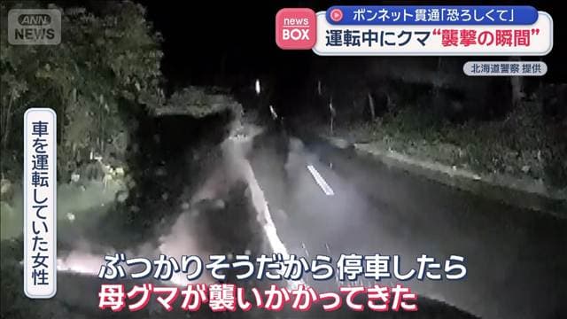 メイン記事画像