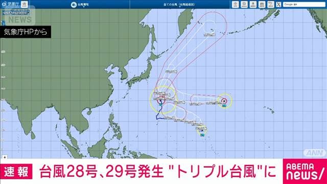 メイン記事画像