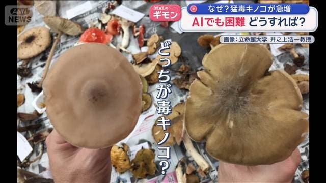 メイン記事画像