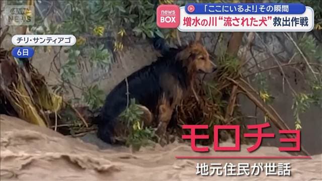 メイン記事画像