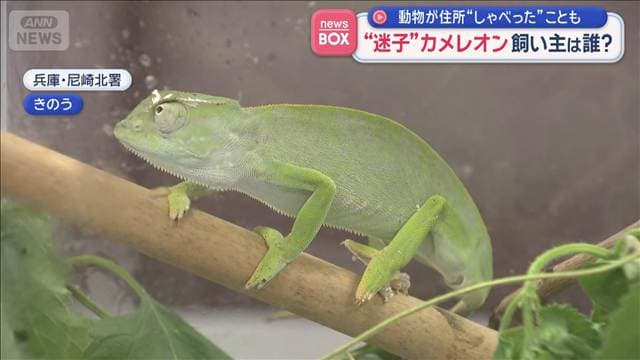 メイン記事画像