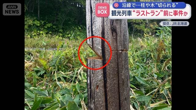 メイン記事画像