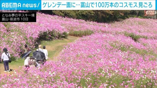 メイン記事画像