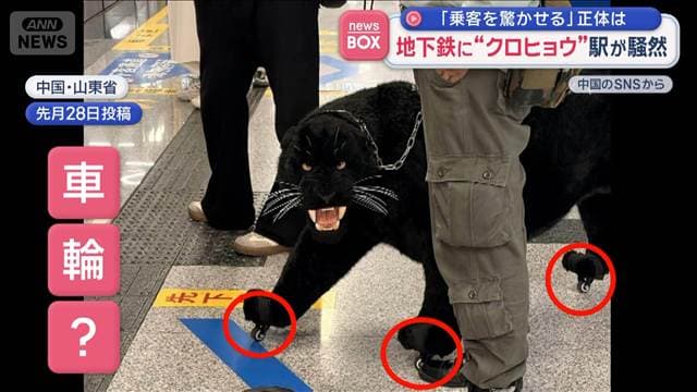 メイン記事画像
