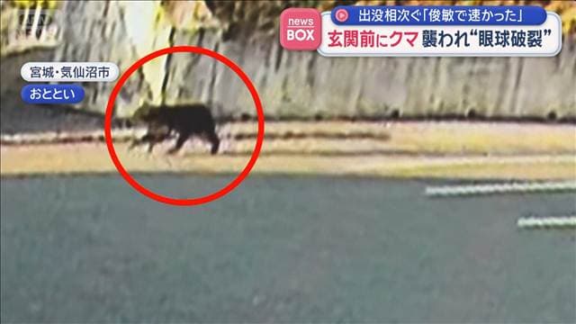 メイン記事画像