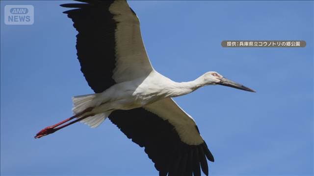 メイン記事画像