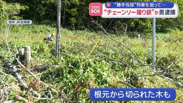 メイン記事画像