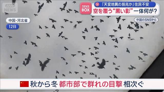 メイン記事画像