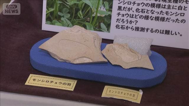 メイン記事画像