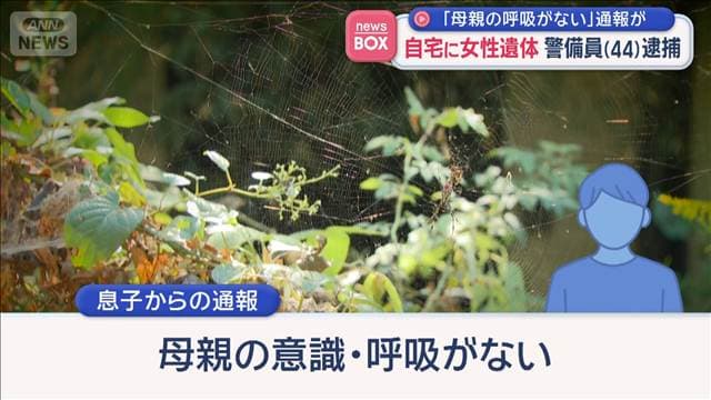 メイン記事画像