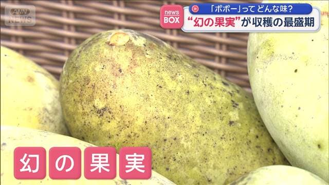 メイン記事画像